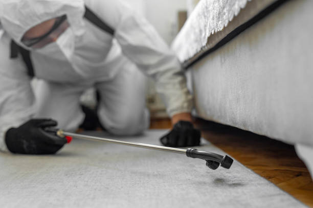 Professional Bed Bug Control technician working in Bayou Gauche, LA