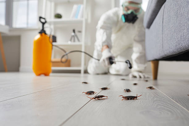 Trusted Cockroach Control service in Bayou Gauche, LA - Nex Pest Control